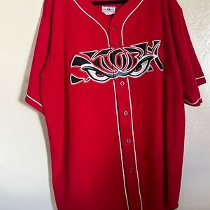 Lake Elsinore Storm Jersey Minor League Baseball